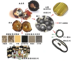 無患子生產流程及製品