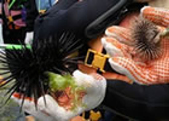 澎湖套裝旅遊-東海、南海行程