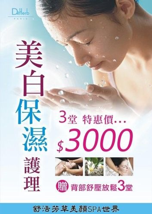 SPA 網站設計