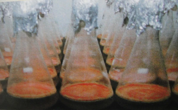 這是目前坊間唯一採用-瓶裝液態長期靜置培養 所生產的牛樟芝產品