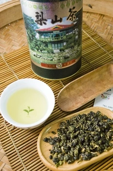 梨山-冬茶