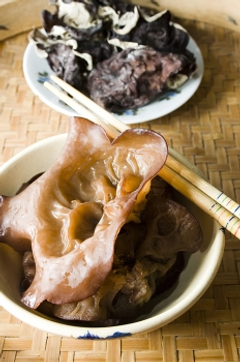 黑木耳_2
