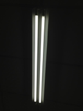 T8 20W LED 植物燈管