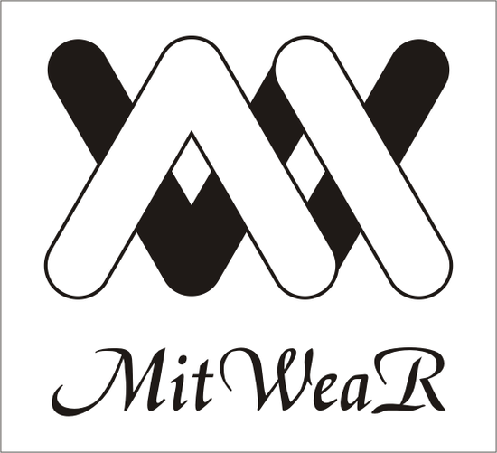 晟盟科技股份有限公司簡介