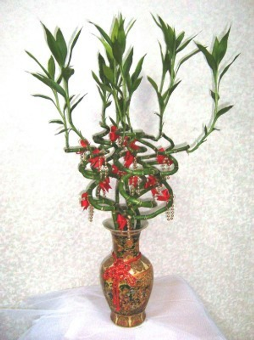 編號:b1 NT$:2500