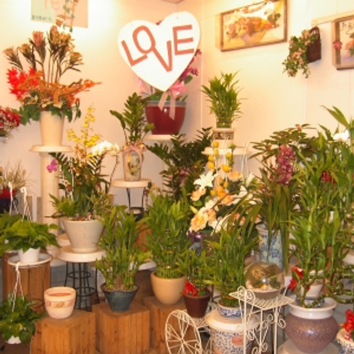 綠坊花店