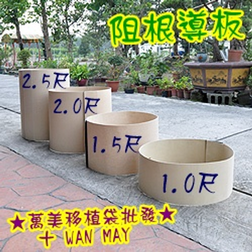 阻根板