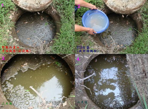 野戰化糞池0-7天水解圖