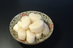 腰子貝(大)