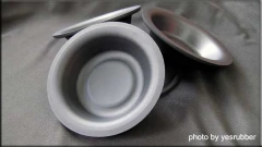 diaphragm