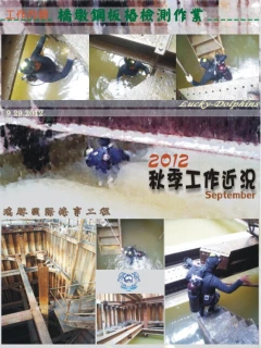 橋墩鋼板樁檢測公程