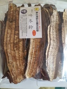 雲芝是台灣靈芝最奇特品種之一