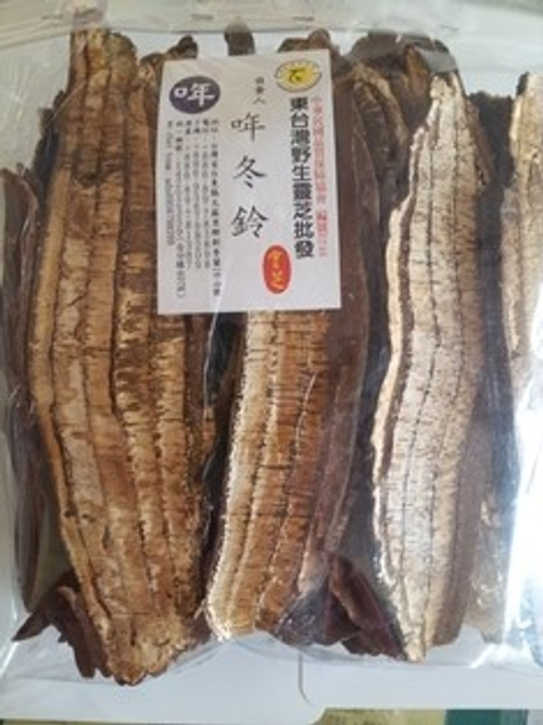 雲芝切片600功克