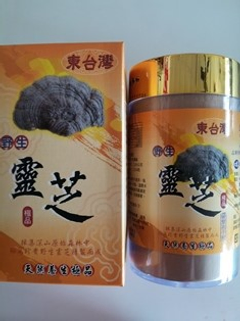 雲芝六倍濃縮粉600公克
