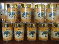 六倍濃縮萃取膠囊600粒