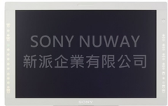 SONY LMD--2451MD