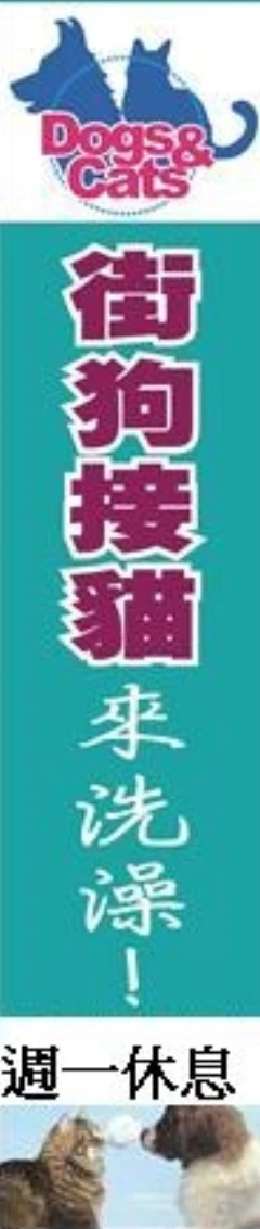 街狗接貓來洗澡