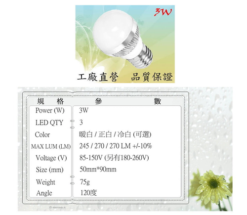 LED 3W球泡