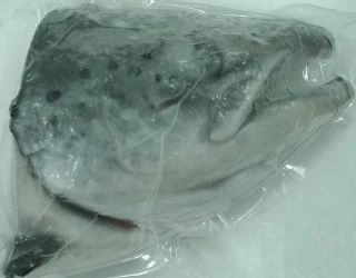 海龍王產地直購鮭魚頭 500G