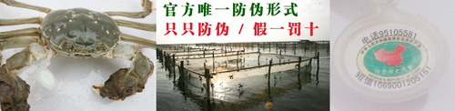 正陽澄湖大閘蟹的蟹扣