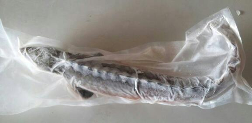 鱘龍魚真空包裝