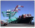 大陸直航海運正式報關包櫃-散貨-代理正式進口報關
