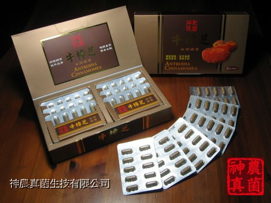 牛樟芝(Antrodia Cinnamomea)