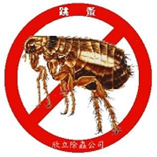 欣力除跳蚤