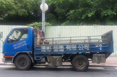 24小時估價.X光機.精密儀器.變壓器.發電機UPS