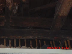 受潮屋頂白蟻防治點