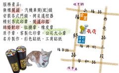 肚臍章