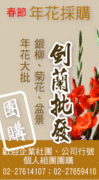年花批發團購:劍蘭、菊花、銀柳、盆景批發團購