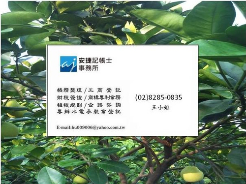 一般公司設立登記申請,公司登記資本簽證,創業輔導設立,三重簽證蘆洲簽證新莊簽證台北市簽證五股簽證新北市設立簽證