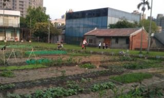 台北租屋 套房出租網--全國最貴的開心農場 每口菜千元起跳