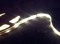LED5050 1米30顆