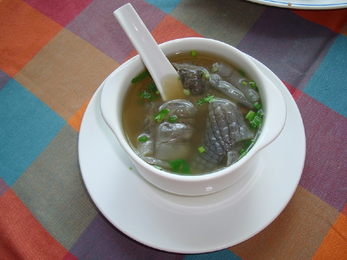 鱷魚肉