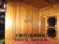 實木裝飾牆板