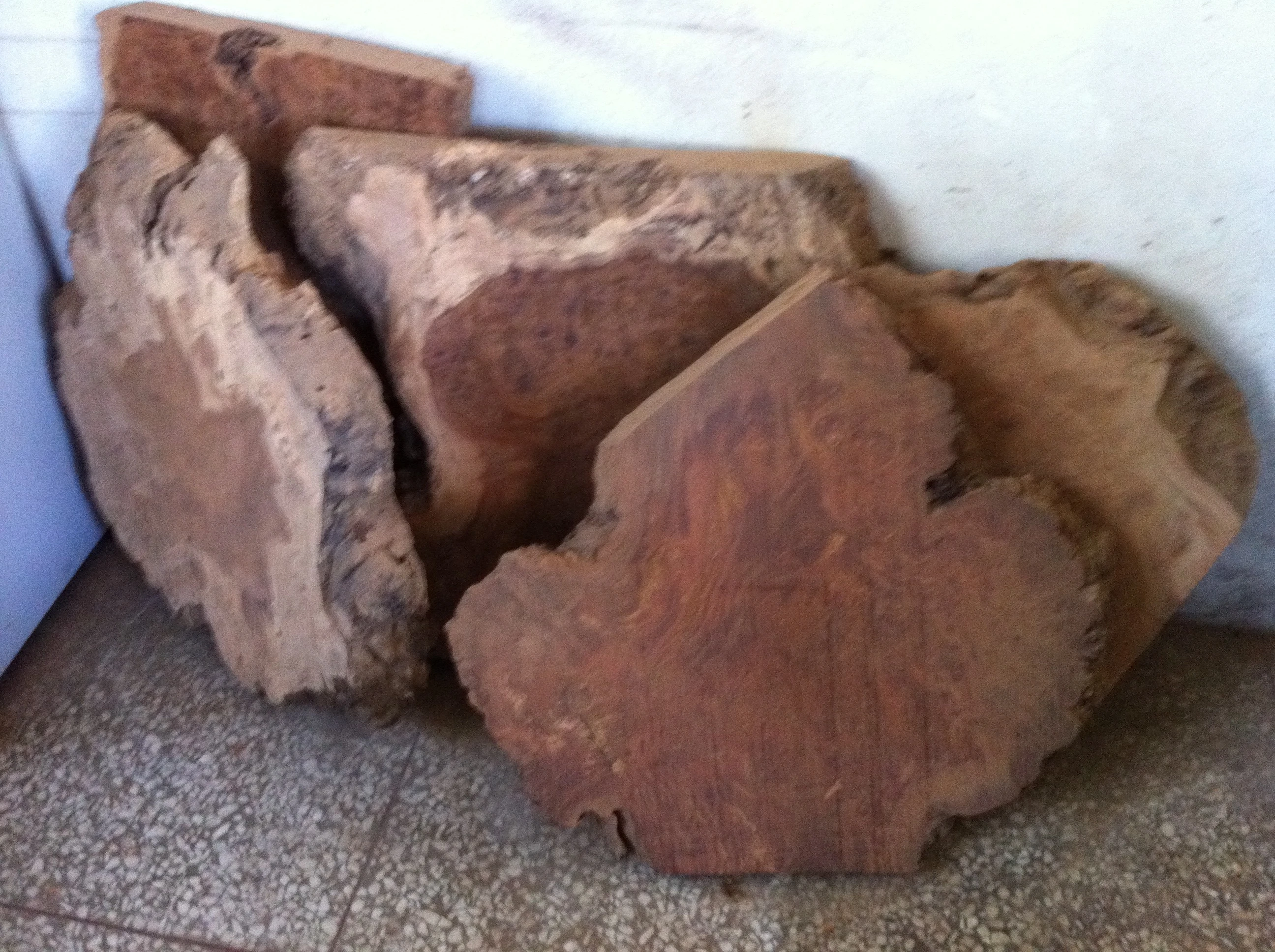 硯木樹榴   木板