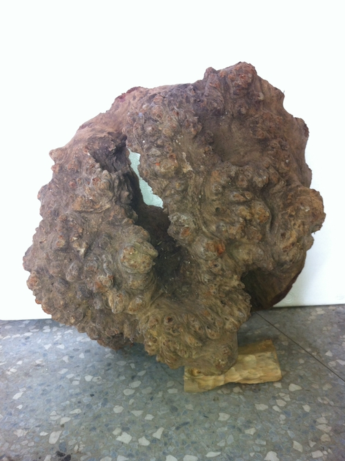 硯台木 :,樹榴 , 原木 料 45kg