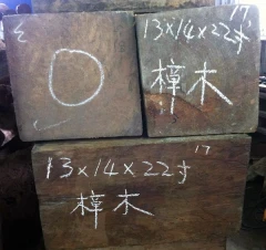 樟木 . 雕刻材料 . 多種尺寸規格