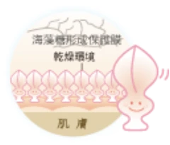 海藻糖與人體內的水分結構十分相似,能迅速補充皮膚水分,改善角質層的抵抗力,並可替代水分子提供細胞造水功能,具保濕和柔軟作用,讓皮膚長久處於健康活力的狀態。