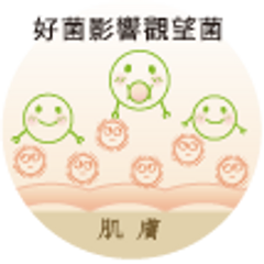 能促進頭皮有益菌的增加,去除頭皮污垢,調理頭皮健康並形成天然防護膜,抵抗外界刺激。同時洗髮後排出的廢水,能幫助水中原有的污染物加速淨化分解,讓自然界的水資源恢復