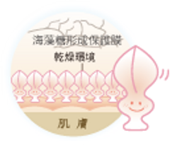 海藻糖 與人體內的水分結構相似,能迅速補充皮膚水分,進而保護皮膚細胞, 改善角質層的抵抗力,讓手部肌膚處於飽水狀態,增加角質層的防護力。