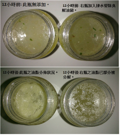 模擬管內油脂分解狀況