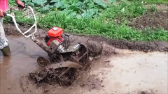 Hand tractor/Power weeder, weeding (中耕機/耕耘機/除草機/水田)