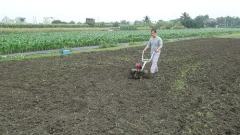 Rotary/Tilling blade of tiller/cultivator/weeder/hand tractor (中耕機/耕耘機)