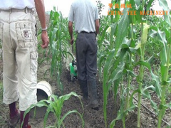 Rotary/Tilling blade of tiller/cultivator/weeder/hand tractor (中耕機/耕耘機)
