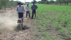 Rotary/Tilling blade of tiller/cultivator/weeder/hand tractor (中耕機/耕耘機)