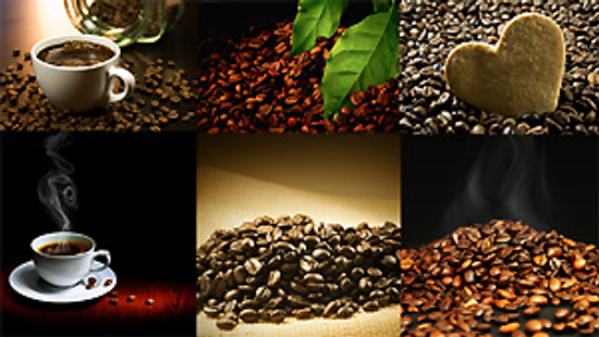 自家烘焙咖啡豆---巴西喜拉朵咖啡豆