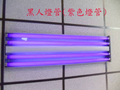黑人燈管(紫色燈管)~~